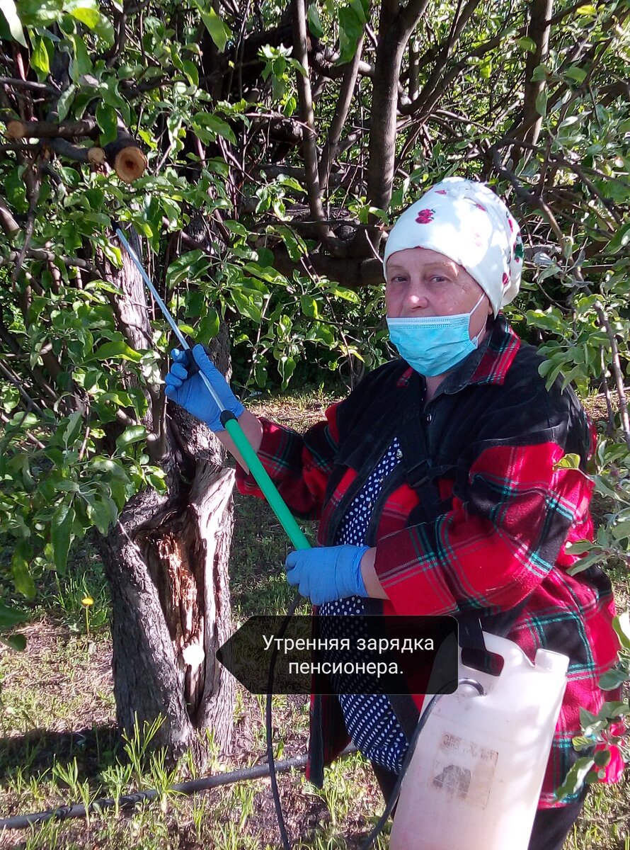 Или фитнес по-деревенски.