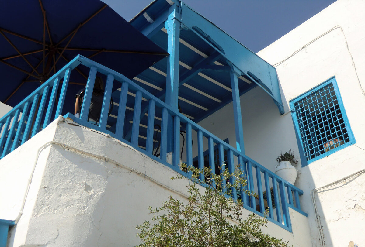 Сиди Бу Саид - самый романтичный город Туниса | Заяц путешественник | Дзен