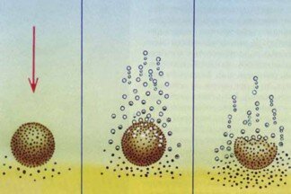 Донная прикормка