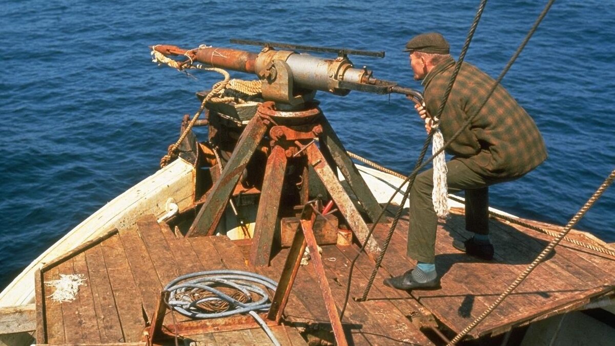 Гарпун китобойный 19 век. Гарпун китобоя. Гарпун китобойный 19\. Гарпун 18 века. Гарпун китобойный 19 век.