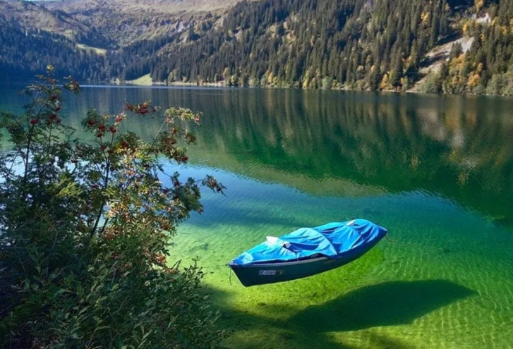 Чистейшее озеро мира. Источник изображений: Яндекс. Картинки