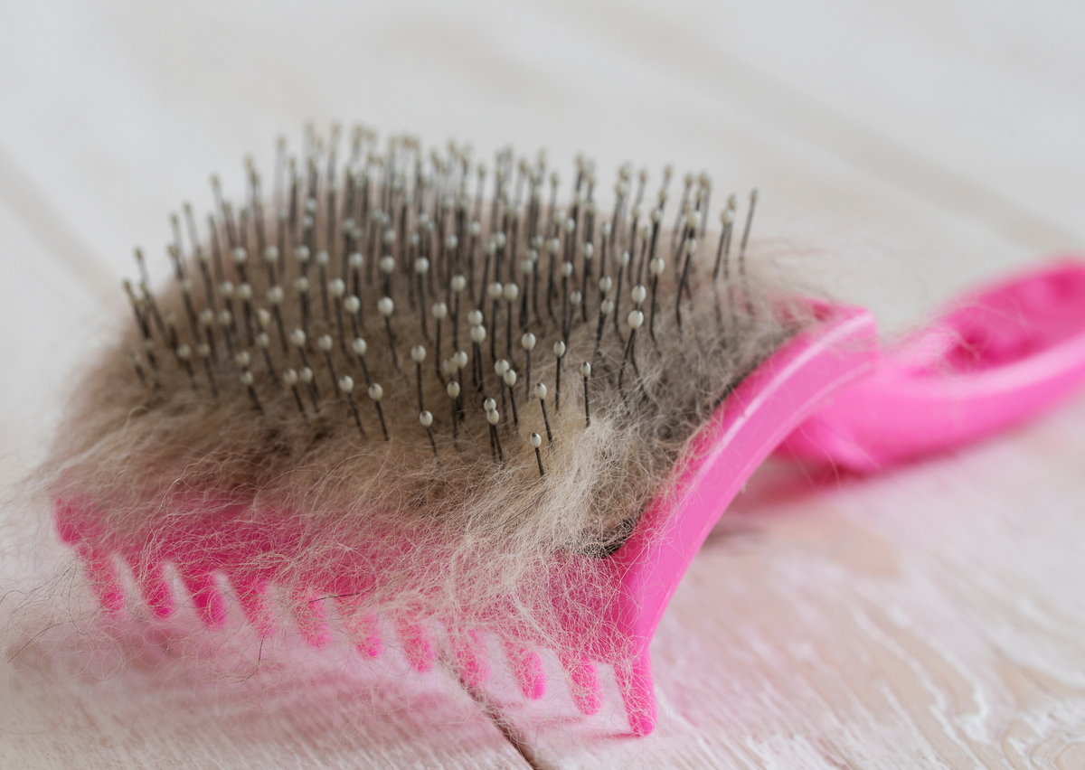 Отлично почесали