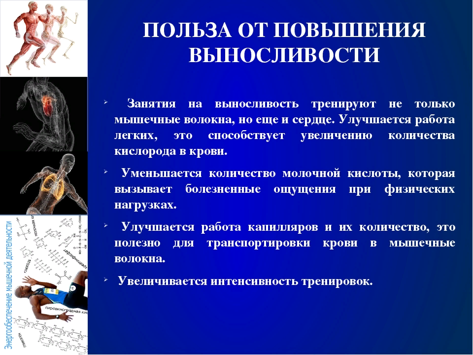 Упражнения увеличения силы. Тренировка для повышения выносливости. Упражнения для развития выносливости. Физические упражнения на выносливость. Упражнения для увеличения выносливости.