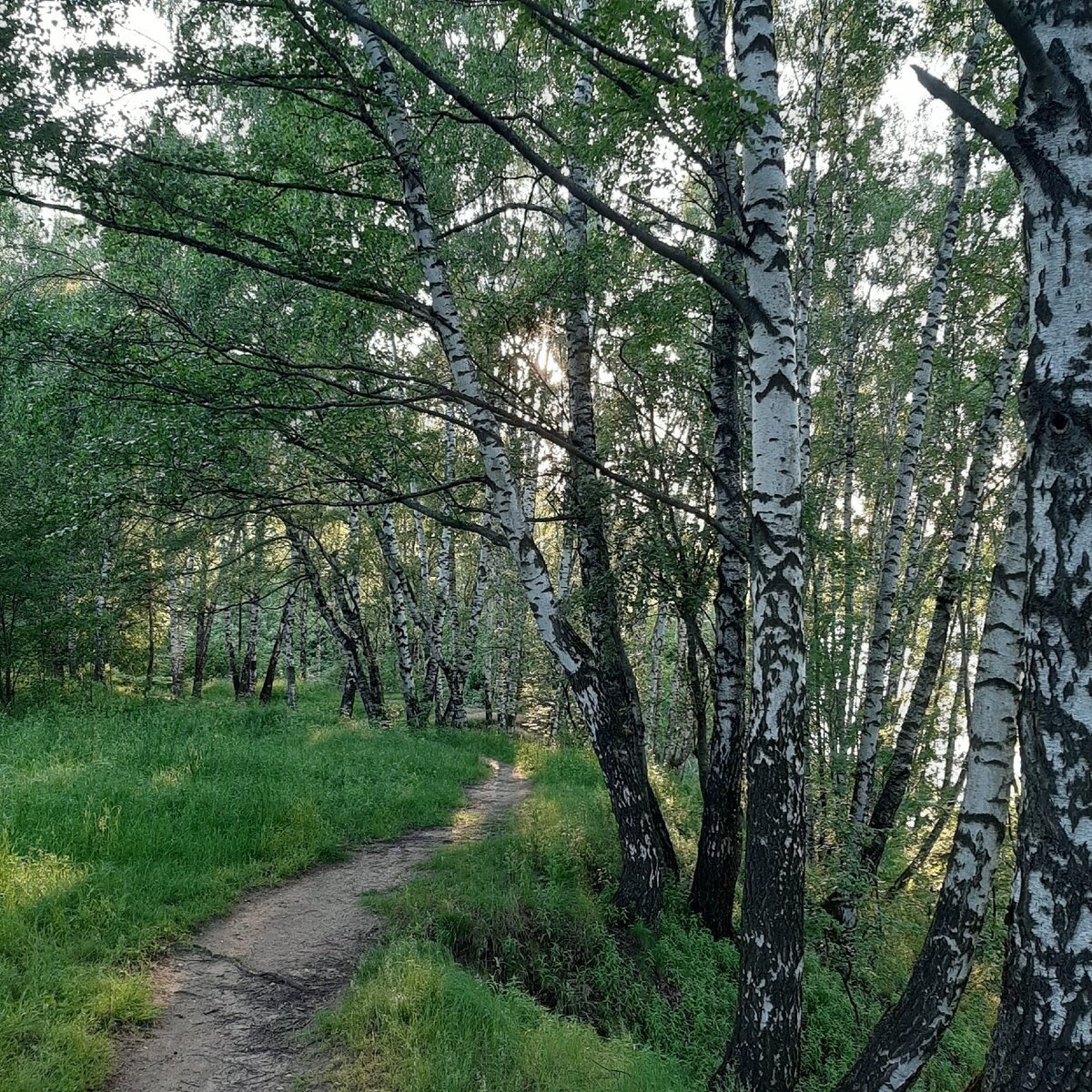 Все фото автора