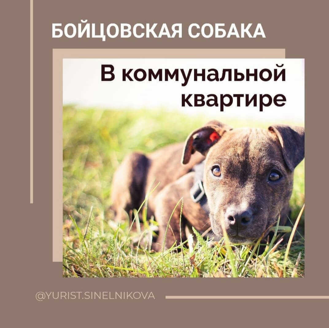 Взгляд устрашающий. Хотя умный.