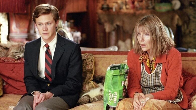 Настоящая мать может быть все время молчащей старухой, поедающей кошачьи чипсы. Зато она всегда выслушает.