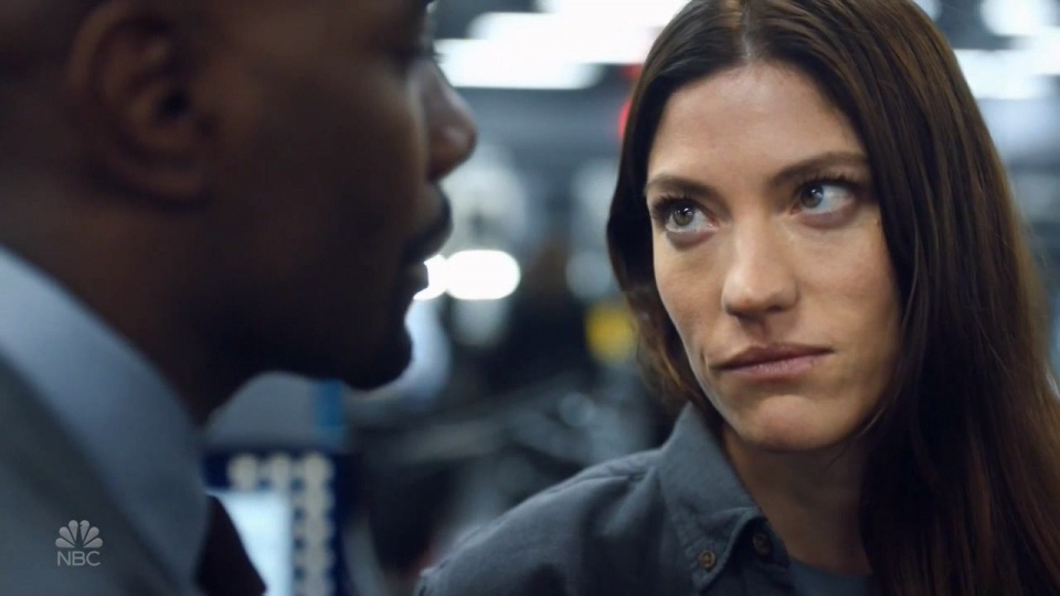 The Enemy Within Драма
США