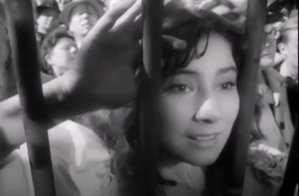 Отрывок из фильма "Летят журавли"