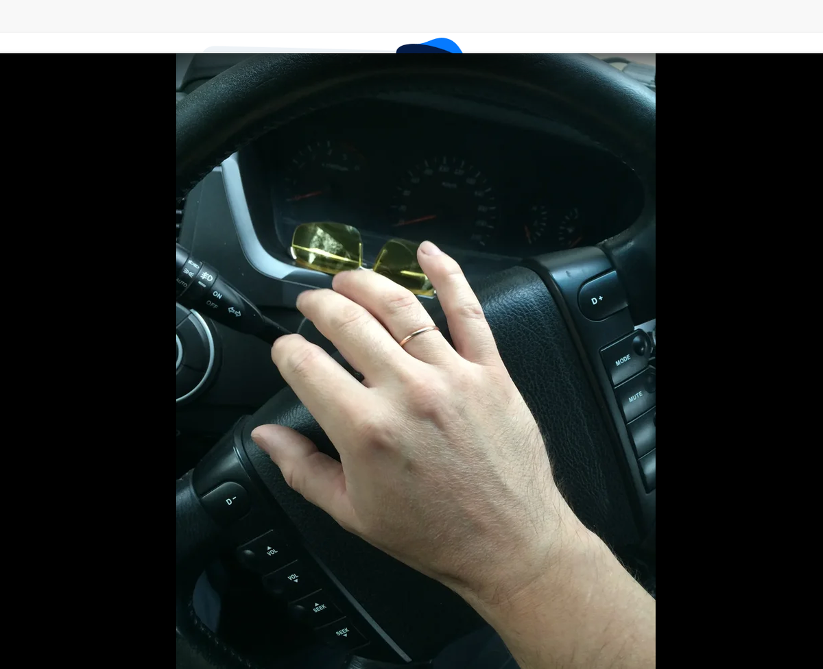 Мой питомец