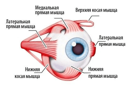 Падает зрение на одном глазу: причины и признаки