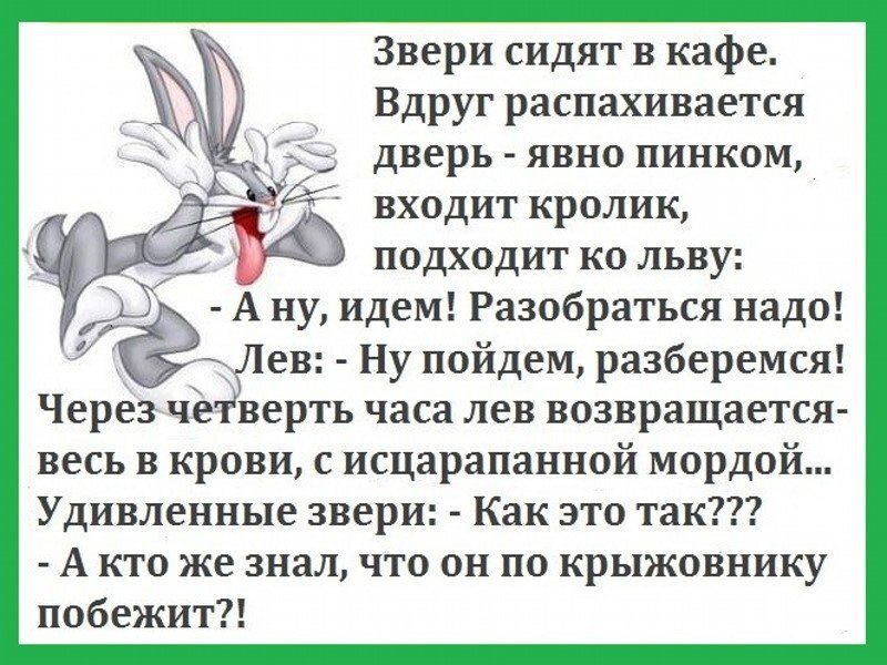 Самые смешные анекдота про животных и зверей в лесу, самые смешные до слез - шт.