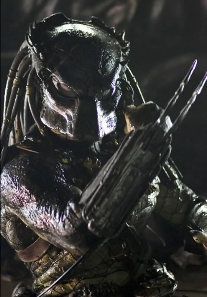 Хищник Волк. Изображение взято из открытых источников.