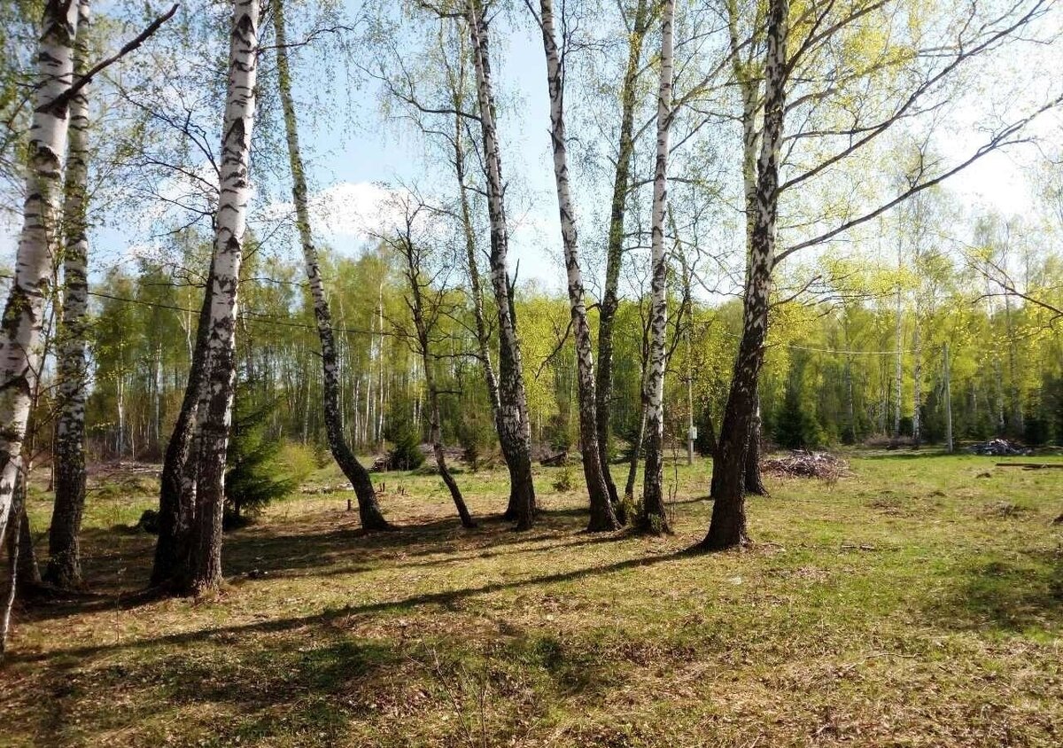 Из яндекс.картинки