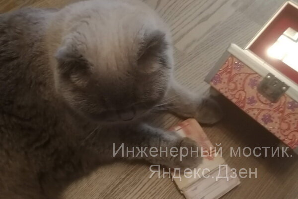 Моя кошка Фрося - главный хранитель семейного бюджета. Фото автора.