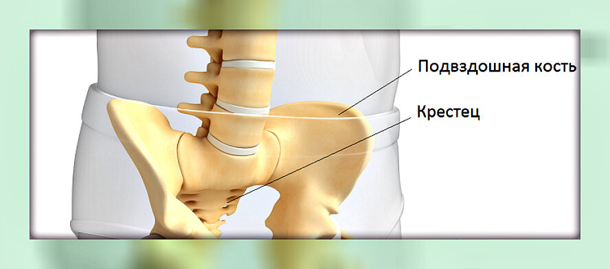 повздошная кость