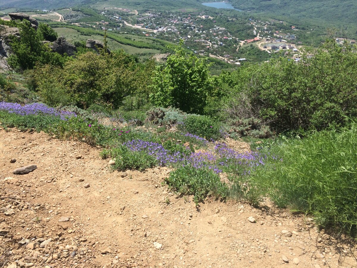 Вид на село Лучистое