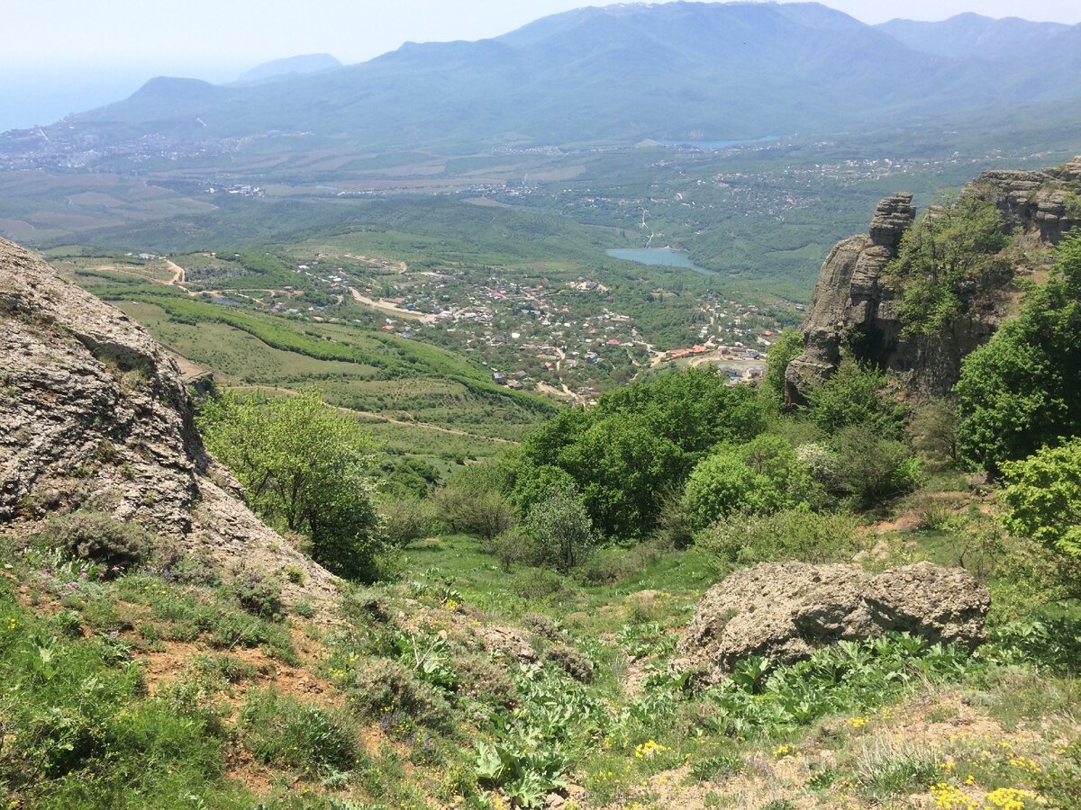 Казалось бы причем тут Медведь