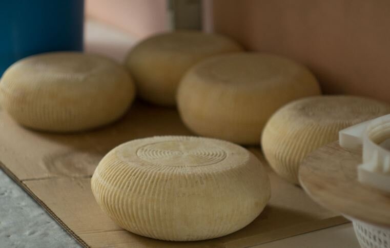 Осетинский сыр (типа брынзы, адыгейского или фетаксы) из молока и кефира своими руками: показываю как его сделать дома