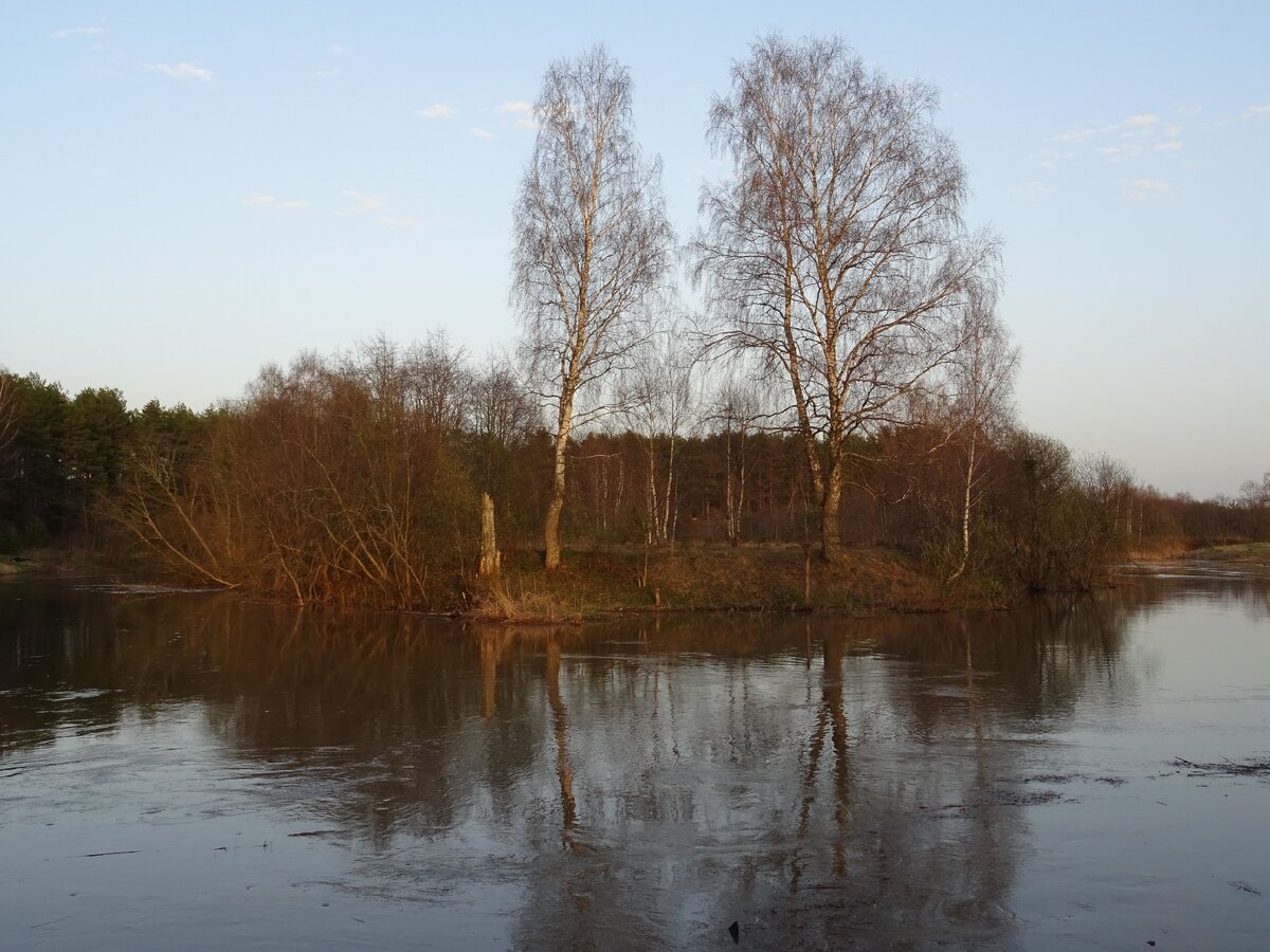 Река Молокча