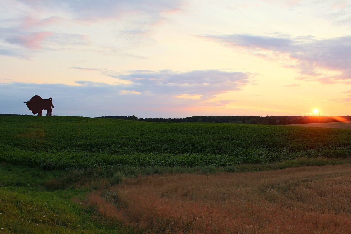 По дороге домой...