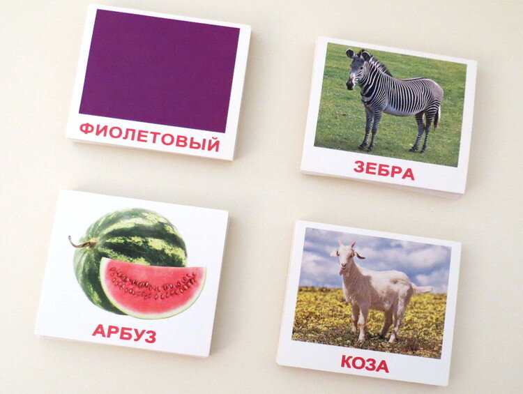 Маленькие карточки (та же марка): цвета, дикие животные, фрукты, домашние животные