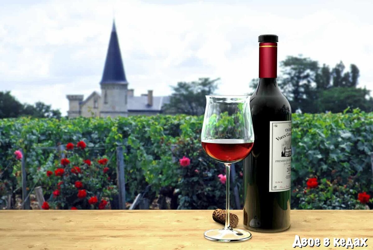 Vin france. Bordeaux Франция вино. Шато Андре винодельня. Шато французский винодельня. Франзуцкое вино Бордокс.