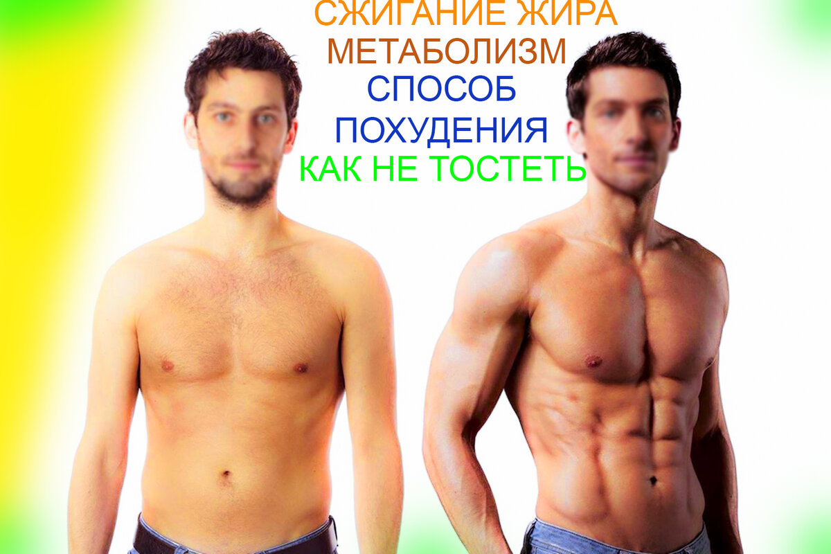 фотография предоставлена сервисом "Яндекс картинки"