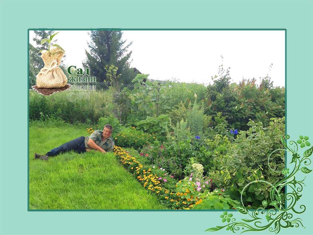 Как избавиться от лишней работы в саду и огороде