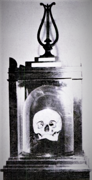 Череп Гайдна.