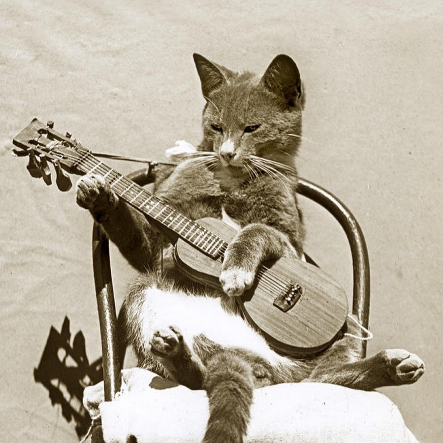 фото использовано в качестве иллюстрации. Источник "Яндекс.Картинки"