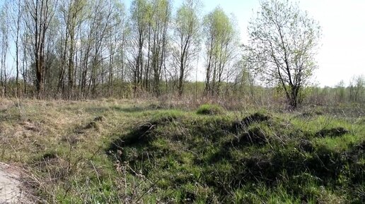 Деревенская жизнь. Работа в деревне есть всегда