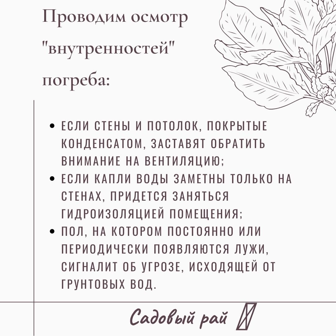 Теперь в моем погребе не ржавеют крышки, не портятся овощи и нет плесени