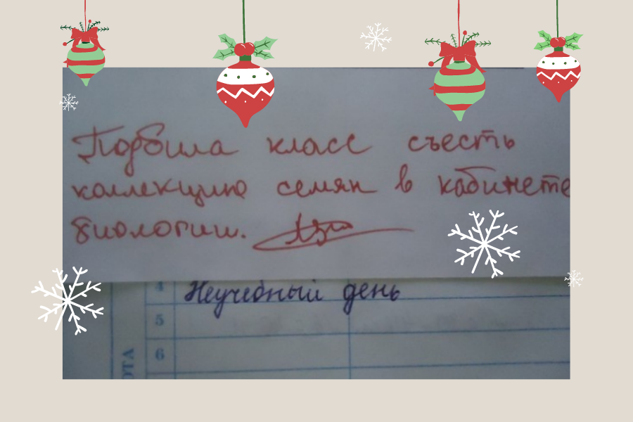 Умудрилась уговорить свой класс на уроке биологии съесть коллекцию семечек