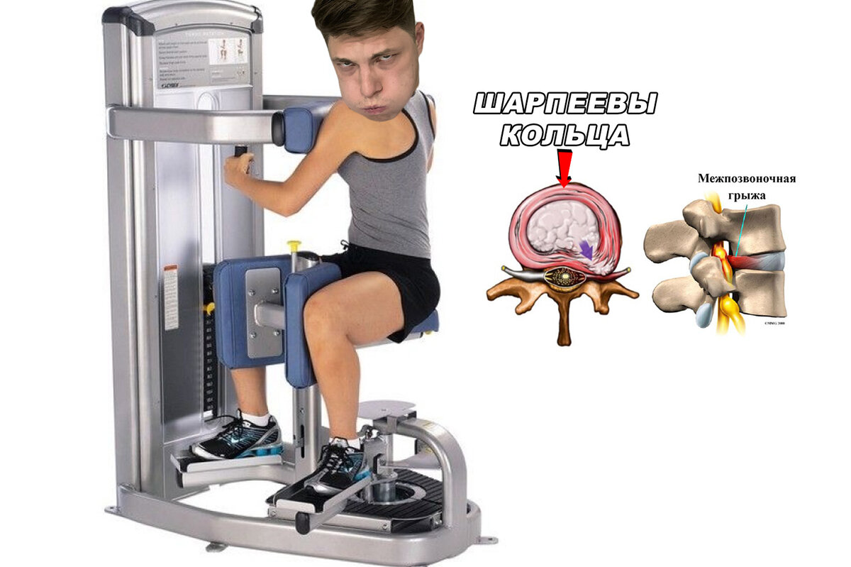 Автор - Пенкин Егор/Fit.Therapy.Official