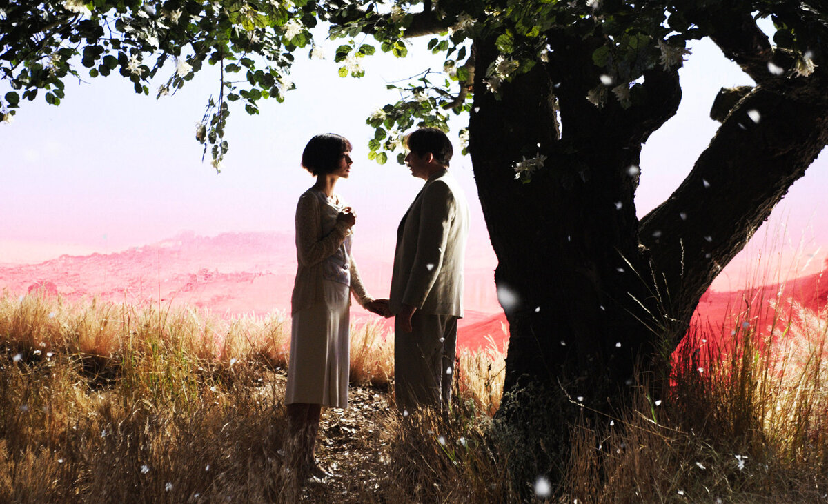 Кадр из фильма "Цыпленок с черносливом", 2011 г.