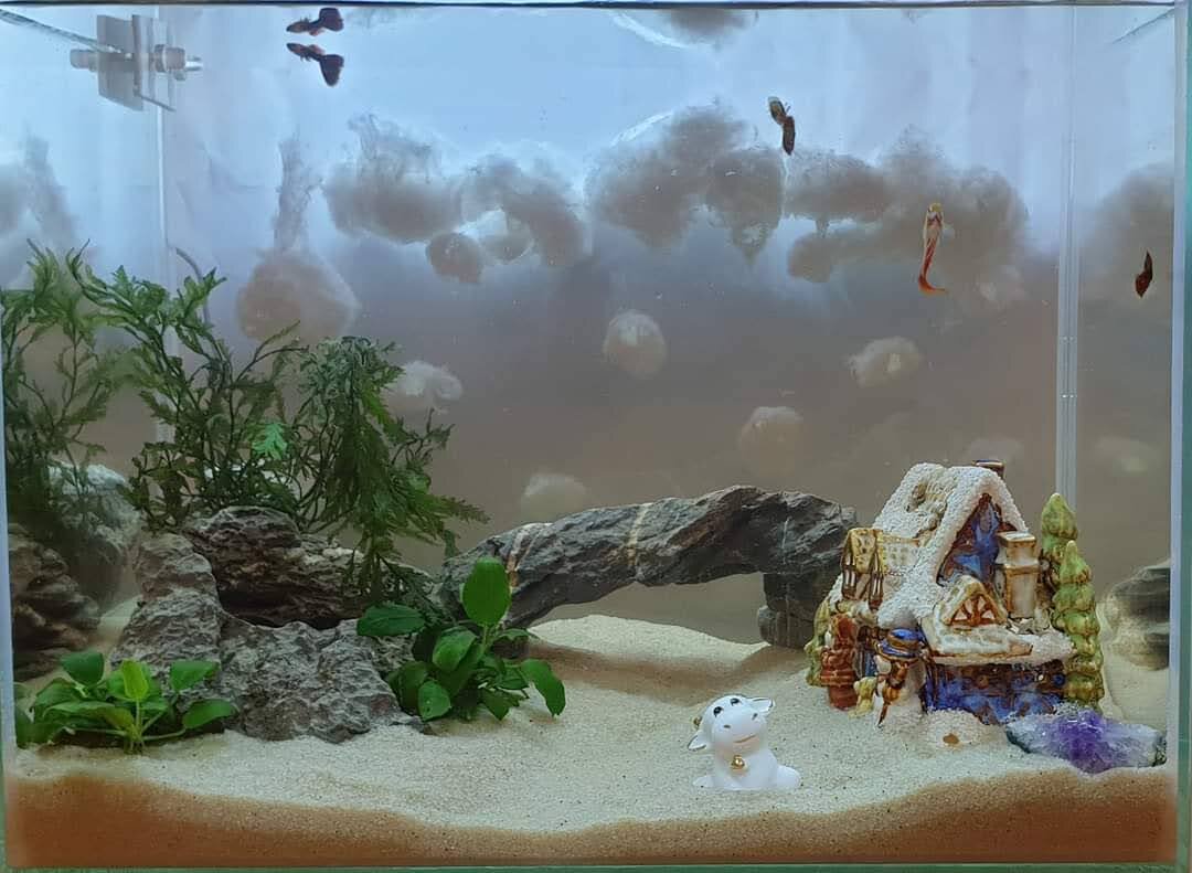 Идея работы:  В солнечный зимний день, вдруг нахмурившиеся тучи, включают режим ожидания чуда! Потому что скоро праздник, новый год, год быка!