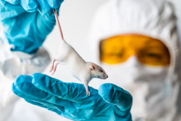 Как же жалко маленьких невинных животных!