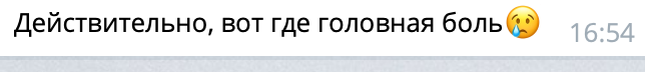 Разложение общества на примере чата коттеджного посёлка