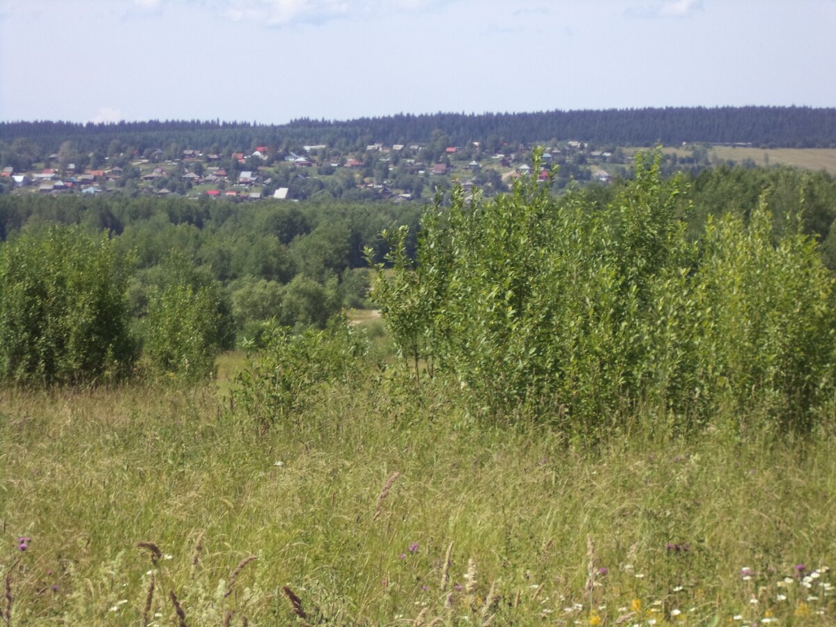 Александровский пруд Пермский край