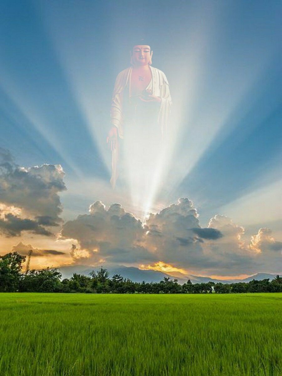 Изображение взято с сайта www.pinterest.ru. 