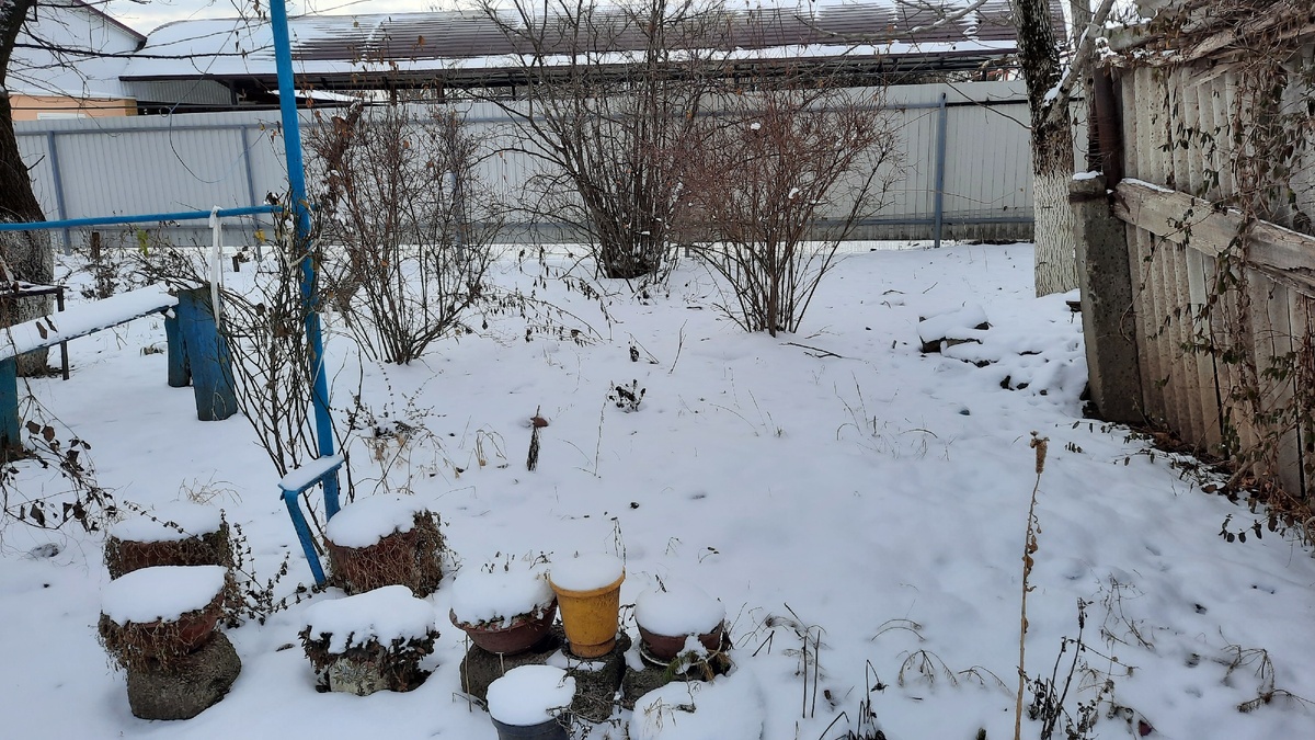 Палисадник у дома