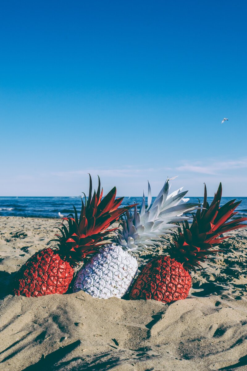 https://unsplash.com/@pineapple