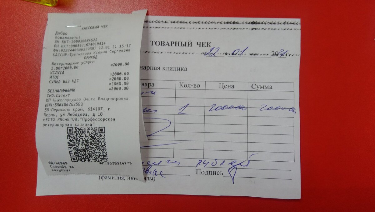 Огромное спасибо всем, кто помог нам собрать на оплату первичных долгов за Вереска. Также мы приобрели корм, пеленки. 