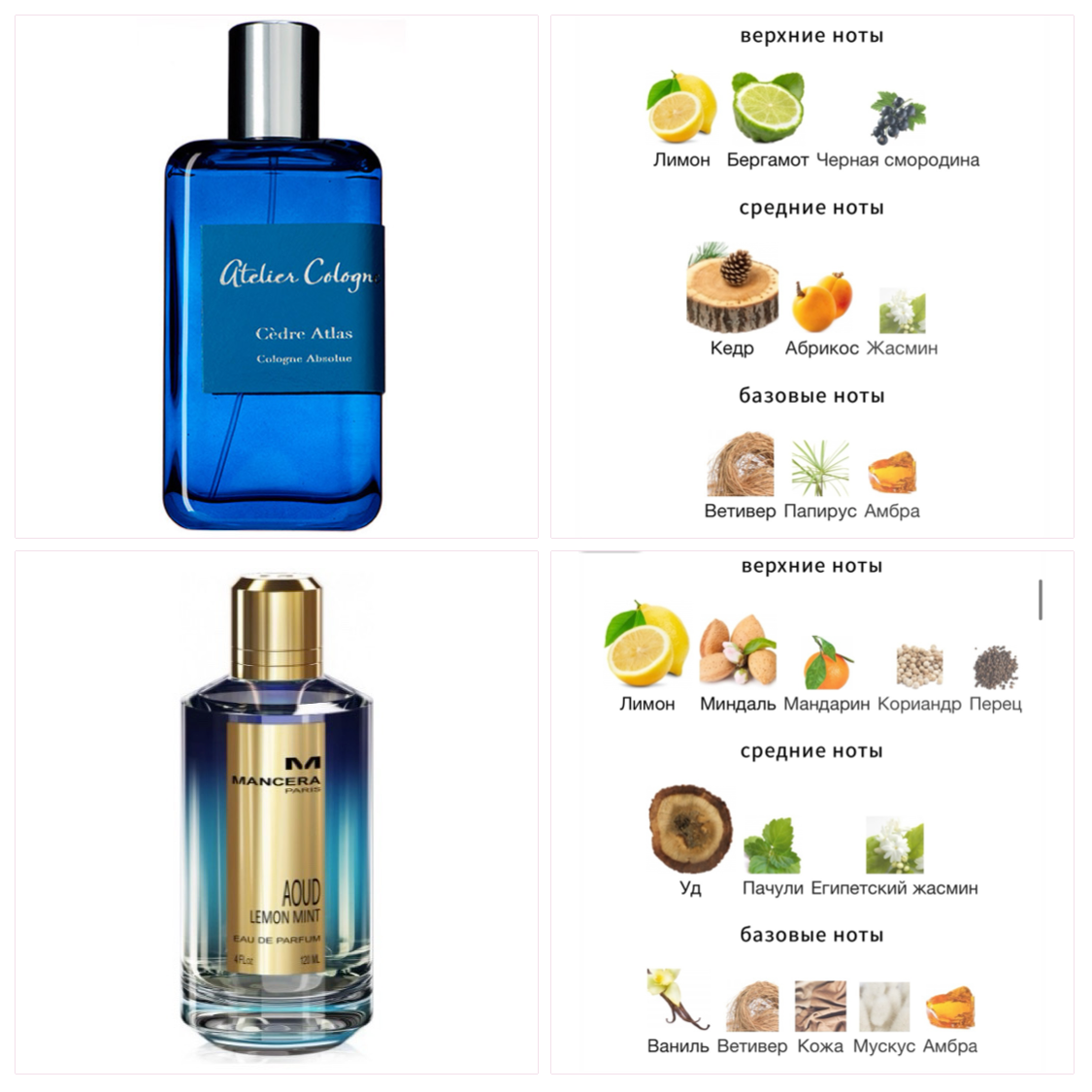 Forum fragrantica. Белый список интернет магазинов парфюмерии. Белый список интернет магазинов парфюмерии Фрагрантика. Название всех частей духов.