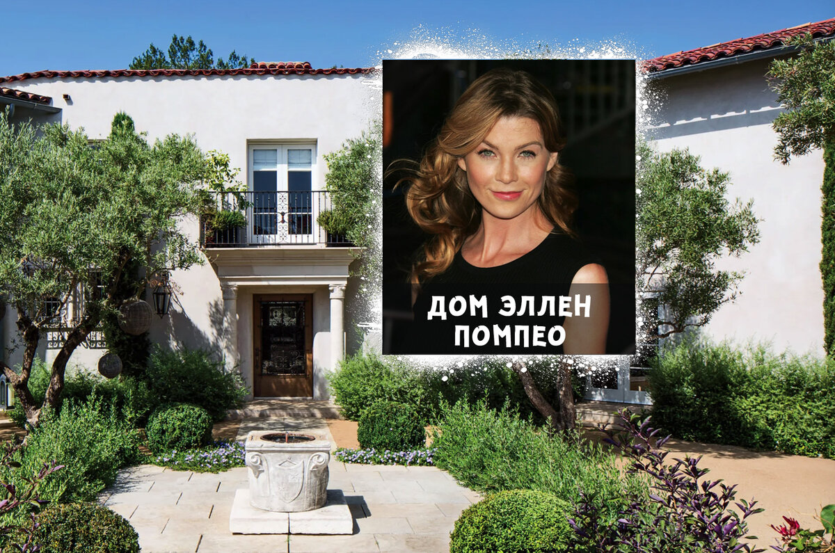 Фото из открытых источников в интернете. Коллаж автора.