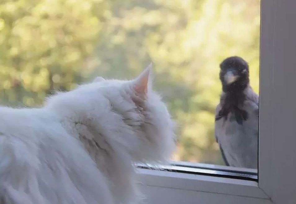 Фото из открытых источников Интернет