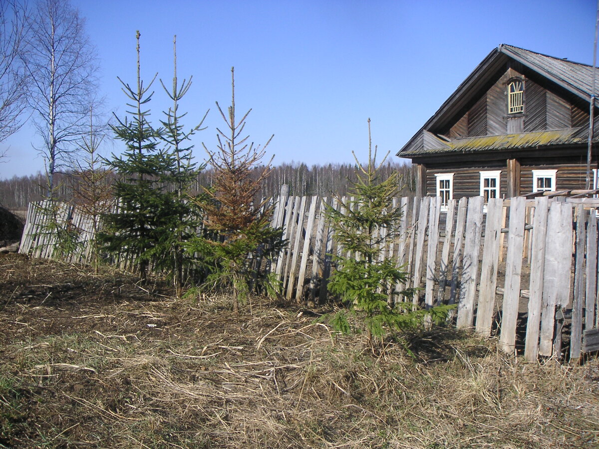 Май 2006 года