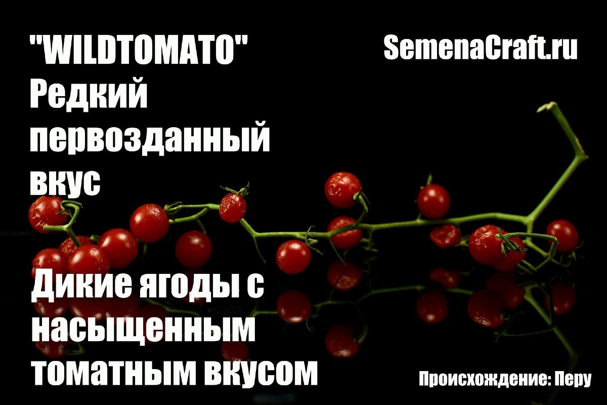 SemenaCraft.ru