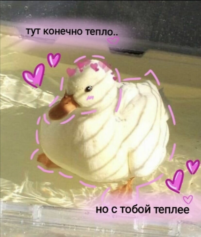 Как раз про тебя)❤️