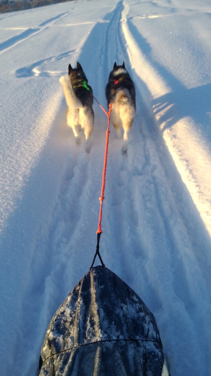 С солнцем повезло